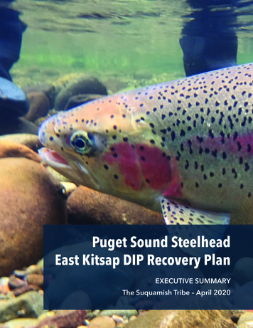 Puget Sound Steelhead East Kitsap DIP Recovery Plan