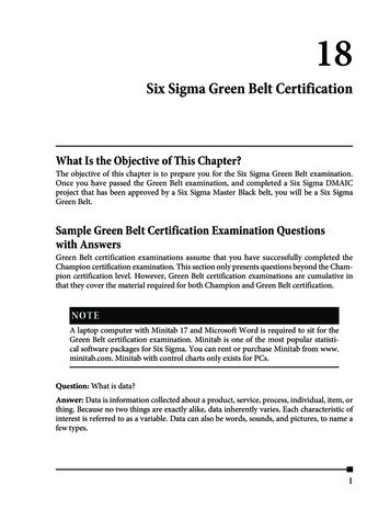 What Is The Objective Of This Chapter? Sample Green Belt .