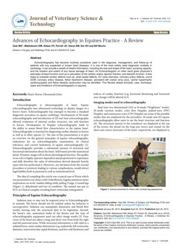 Advances Of Echocardiography In Equines Practice