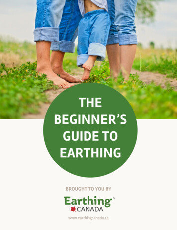 THE BEGINNER’S GUIDE TO EARTHING