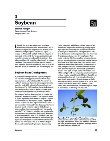 3 Soybean - Crop Sciences Department