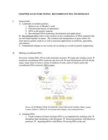 CHAPTER 14 LECTURE NOTES : RECOMBINANT DNA 