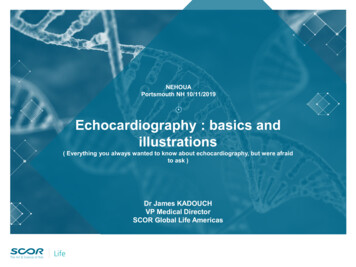 Echocardiography : Basics And Illustrations