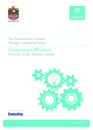 Government Efficiency - Deloitte
