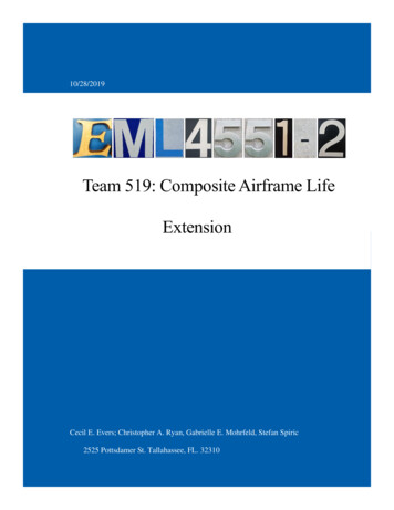 Team 519: Composite Airframe Life Extension