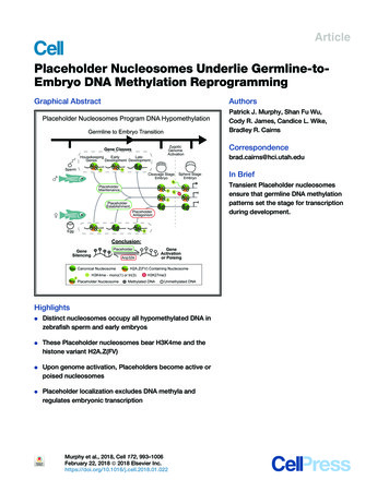 Placeholder Nucleosomes Underlie Germline-to-Embryo DNA . - Lawson Lab