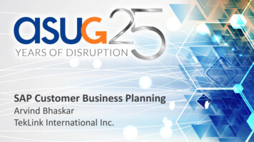 SAP Customer Business Planning - TekLink