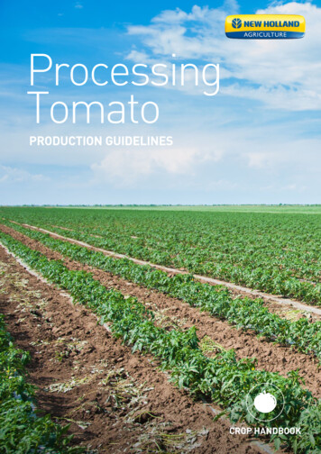 Processing Tomato Agronomy Brochure