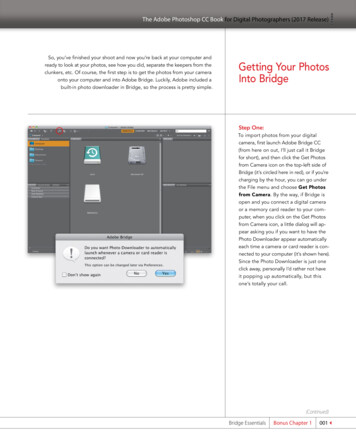 Getting Your Photos Into Bridge - Kelby Media Group