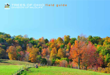 TREES OF OHIO Field Guide