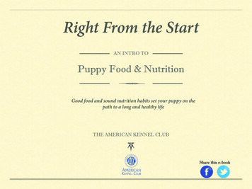 Puppy Food And & Nutrition E-Book