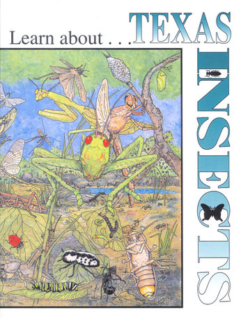 A Learning And Activity Book - Texas