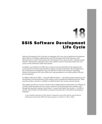 SSIS Software Development Life Cycle