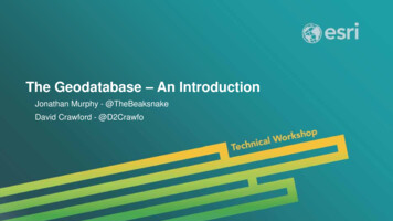 The Geodatabase - An Introduction - Esri