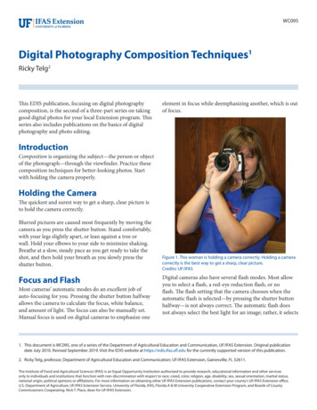 Digital Photography Composition Techniques