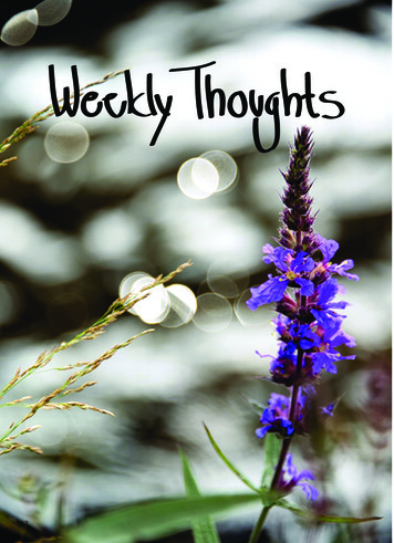 Weekly Thoughts For Office Devotions