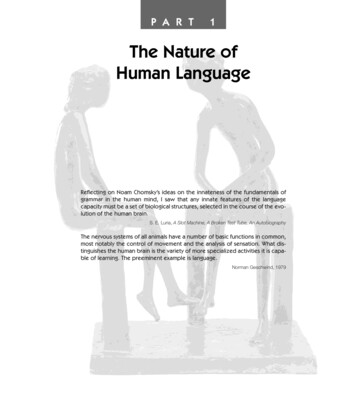 The Nature Of Human Language