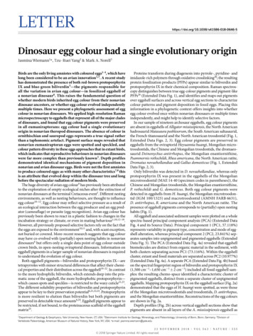 Dinosaur Egg Colour Had A Single Evolutionary Origin