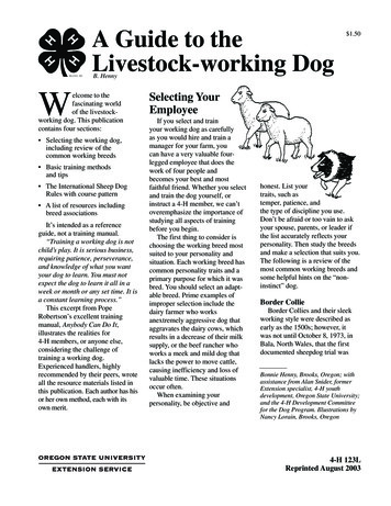 A Guide To The Livestock-working Dog W