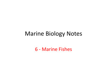Marine Biology Notes - Weebly