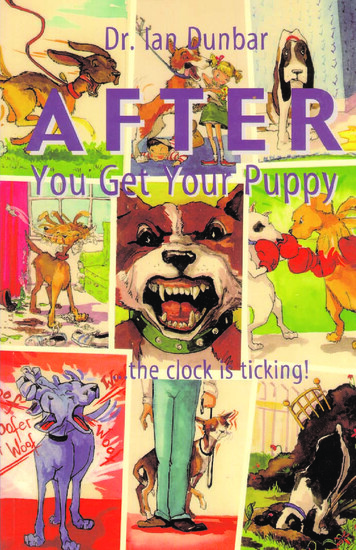 AFTER - Dog Star Daily