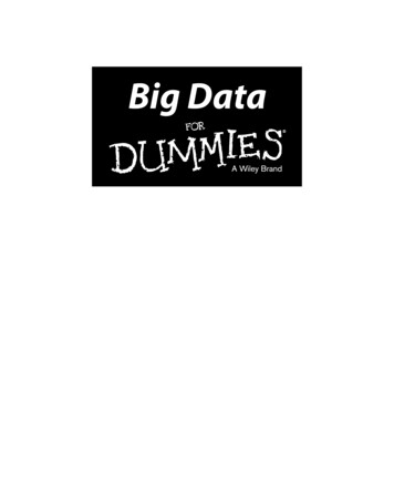 Big Data For Dummies - Papiro