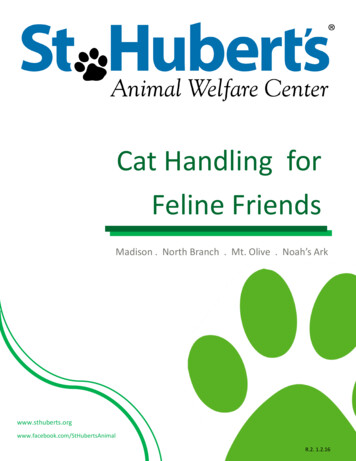 At Handling For Feline Friends