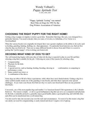 Puppy Aptitude Test - Volhard Dog Nutrition