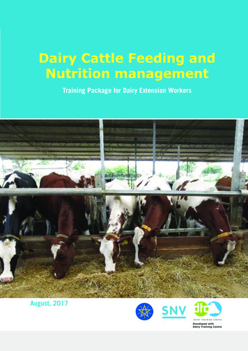 Dairy Cattle Feeding And Nutrition Management