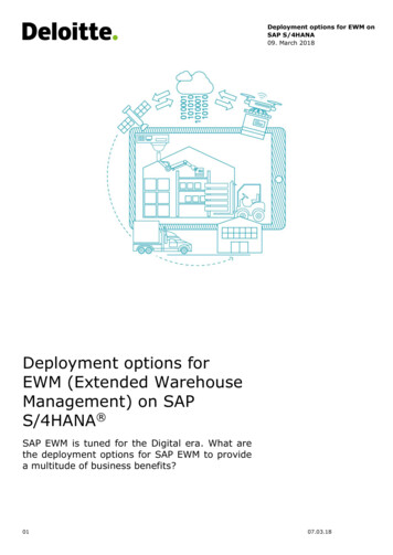 Deployment Options For EWM (Extended Warehouse 