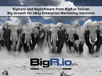 BigData And BigSoftware From BigR.io Deliver Big Growth For EBay .