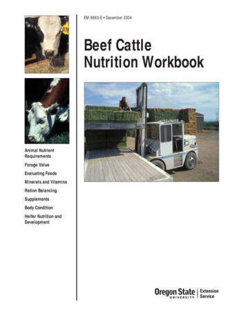 Beef Cattle Nutrition Workbook