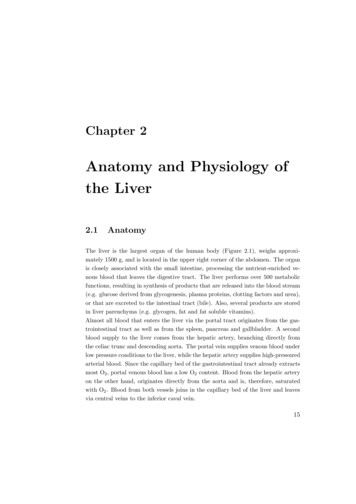 Anatomy And Physiology Of The Liver - Unicz.it