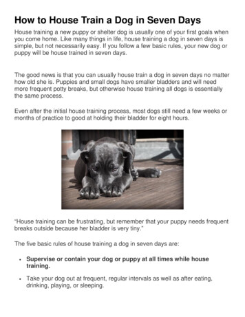 How To House Train A Dog In Seven Days