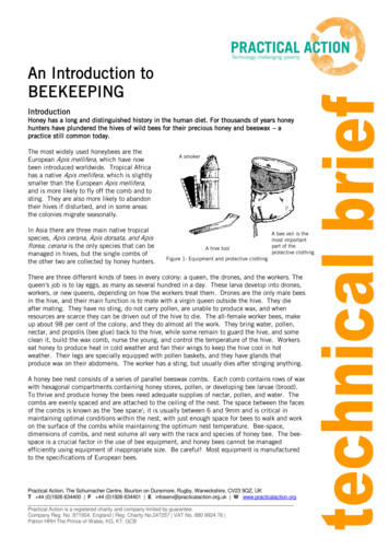 An Introduction To BEEKEEPING - CTCN