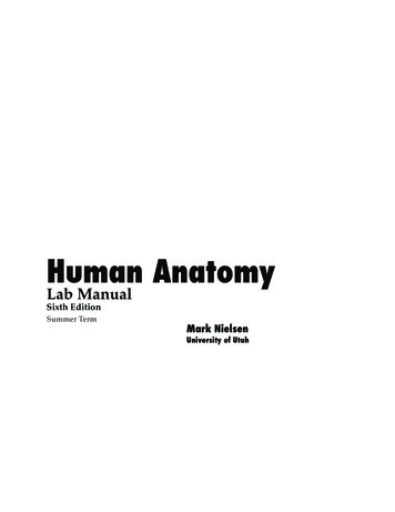 Human Anatomy - Department Of Biology