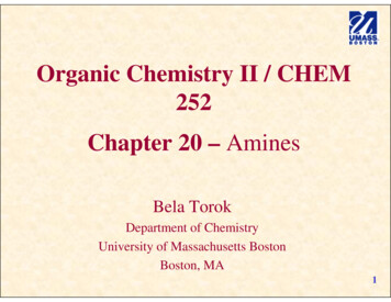 Organic Chemistry II / CHEM 252 Chapter 20 – Amines