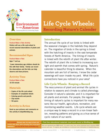 Life Cycle Wheels