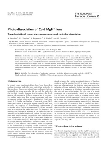 Photo-dissociation Of Cold MgH Ions