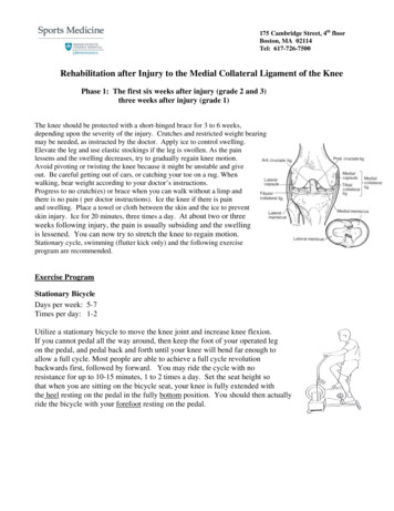 Rehabilitation Protocol For Medial Collateral Ligament Injury