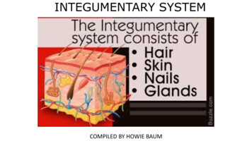 INTEGUMENTARY SYSTEM - University Of Cincinnati