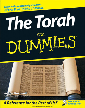 The Torah For Dummies - Henk Rijstenberg