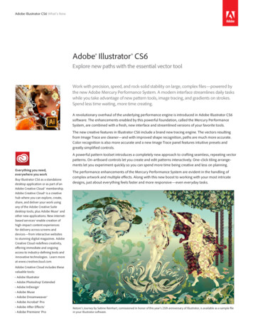 Adobe Illustrator CS6 - WordPress 