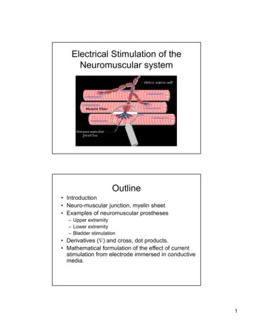 Electrical Stimulation Of The Neuromuscular System