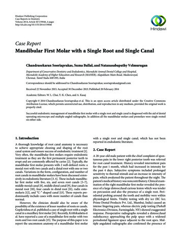 Case Report Mandibular First Molar With A Single Root And .