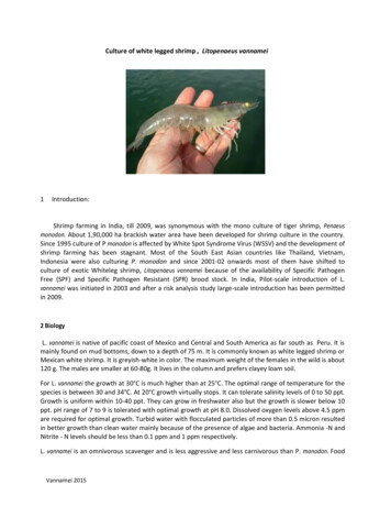 Culture Of White Legged Shrimp , Litopenaeus Vannamei