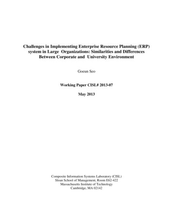 Challenges In Implementing Enterprise Resource Planning (ERP . - MIT