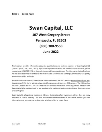 Swan Capital, LLC