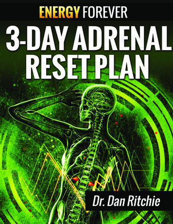 3 Day Adrenal Reset Plan - Energyforeverplan 