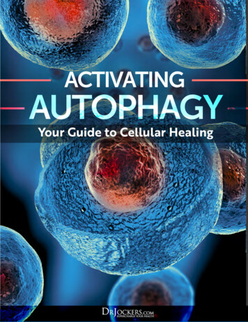 Autophagy: What Is It And 8 Ways To Enhance It